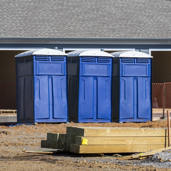 how often are the porta potties cleaned and serviced during a rental period in Salem South Dakota